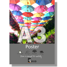 A3 - Posters